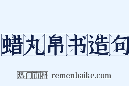 蜡丸帛书造句是什么意思的图片